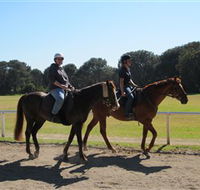 Centennial Parklands Equestrian Centre - Brisbane Tourism