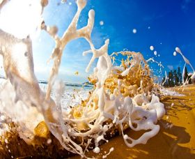 Saltmotion Gallery - Brisbane Tourism 1