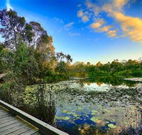 Berrinba Wetlands - Brisbane Tourism