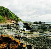Glenrock State Conservation Area - Brisbane 4u