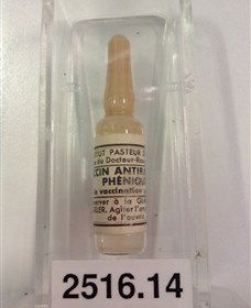 Museum Of Human Disease - Brisbane Tourism 2
