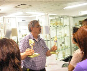 Museum Of Human Disease - Brisbane Tourism 3