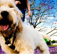 Tuckeroo Park - Tourism Brisbane