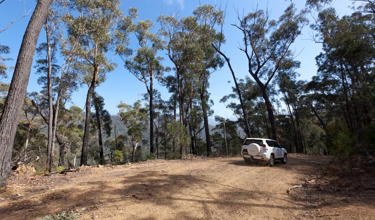 Wadbilliga NSW Tourism Brisbane