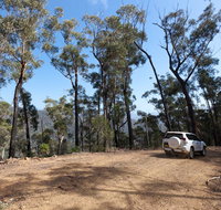 Wadbilliga Road drive - Tourism Brisbane