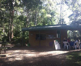 Ellenborough Falls - Brisbane Tourism 1