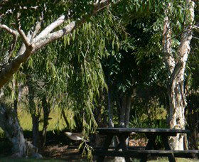 Casino NSW Tourism Brisbane