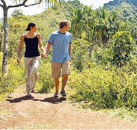 Hoddles Track - Tourism Brisbane