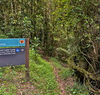 Red Cedar loop - Brisbane Tourism