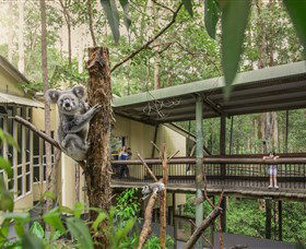 Daisy Hill Koala Centre - Tourism Brisbane 0