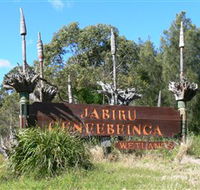 Jabiru Geenbeebeinga Wetlands - Tourism Brisbane