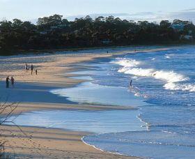 Mollymook Beach - Tourism Brisbane 1
