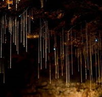 Tamborine Mountain Glow Worm Caves - Tourism Brisbane