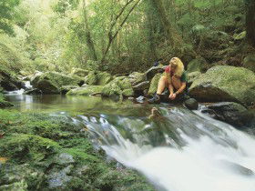 Lower Ballanjui Falls - Tourism Brisbane 0
