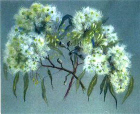 Norma Holt Studio Gallery - Tourism Brisbane 1