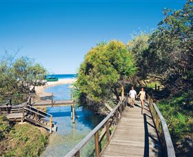 Eli Creek - Brisbane Tourism 0