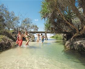 Eli Creek - Brisbane Tourism 1
