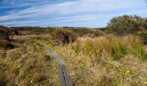Murramarang Aboriginal Area - Tourism Brisbane 1