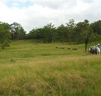 Numinbah Valley Adventure Trails - Tourism Brisbane
