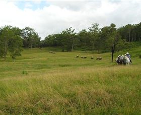 Numinbah Valley Adventure Trails - Tourism Brisbane 0