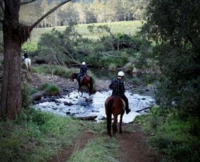 Numinbah Valley Adventure Trails - Tourism Brisbane 3