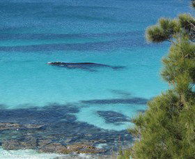 Jervis Bay Marine Park - Brisbane Tourism 0