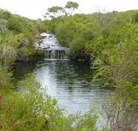 Booderee National Park Green Patch and Telegraph Creek Walking Tracks - Tourism Brisbane