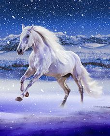 Australian Outback Spectacular: High Country Legends - Tourism Brisbane 1