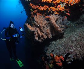 Gotham City Dive Site - Tourism Brisbane 0