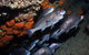 Gotham City Dive Site - thumb 3