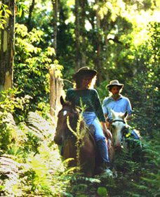 Chatham NSW Brisbane Tourism