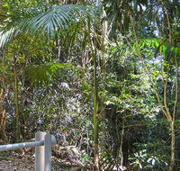 Goorgana walking track - Tourism Brisbane