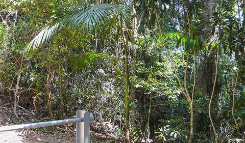 Goorgana Walking Track - Brisbane Tourism 0