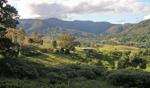 Mount Nardi Picnic Area - Tourism Brisbane 0
