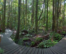 Protesters Falls - Tourism Brisbane 4
