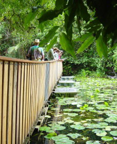 Numulgi NSW Tourism Brisbane