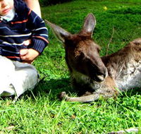 Bunbury Wildlife Park - Tourism Brisbane
