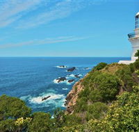 Myall Lakes National Park - Brisbane Tourism