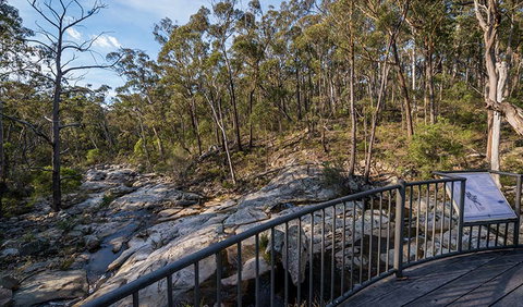 Myanba Gorge Walking Track - Brisbane Tourism 0