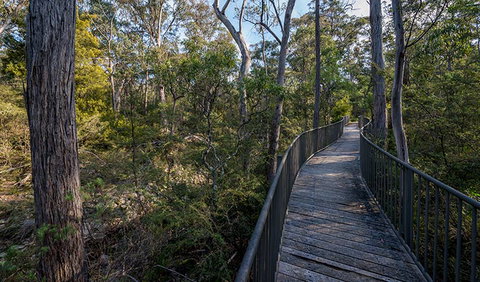 Myanba Gorge Walking Track - Brisbane Tourism 1