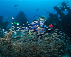 Aarhus Dive Site - Brisbane Tourism 0