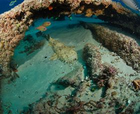 Aarhus Dive Site - Brisbane Tourism 3