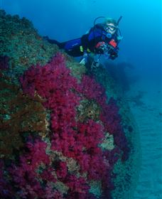 Aarhus Dive Site - Brisbane Tourism 2