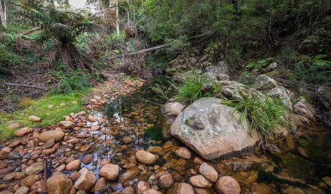 Biamanga National Park - Brisbane Tourism 2