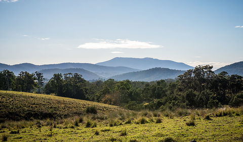 Biamanga National Park - Brisbane Tourism 3