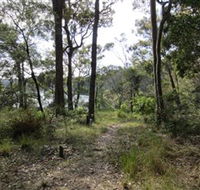 Ringlands Rotary Walk Narooma - Brisbane Tourism