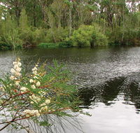 Wallingat National Park - Brisbane Tourism