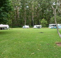 Coopernook Forest Park - Tourism Brisbane