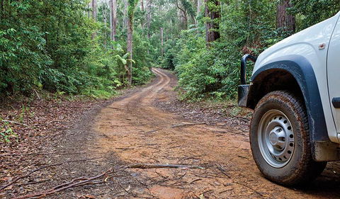 Ulidarra National Park - Tourism Brisbane 2
