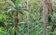 Ulidarra National Park - thumb 3